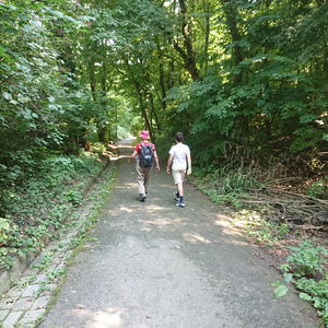 Stadtwanderweg 2 über den Hermannskogel