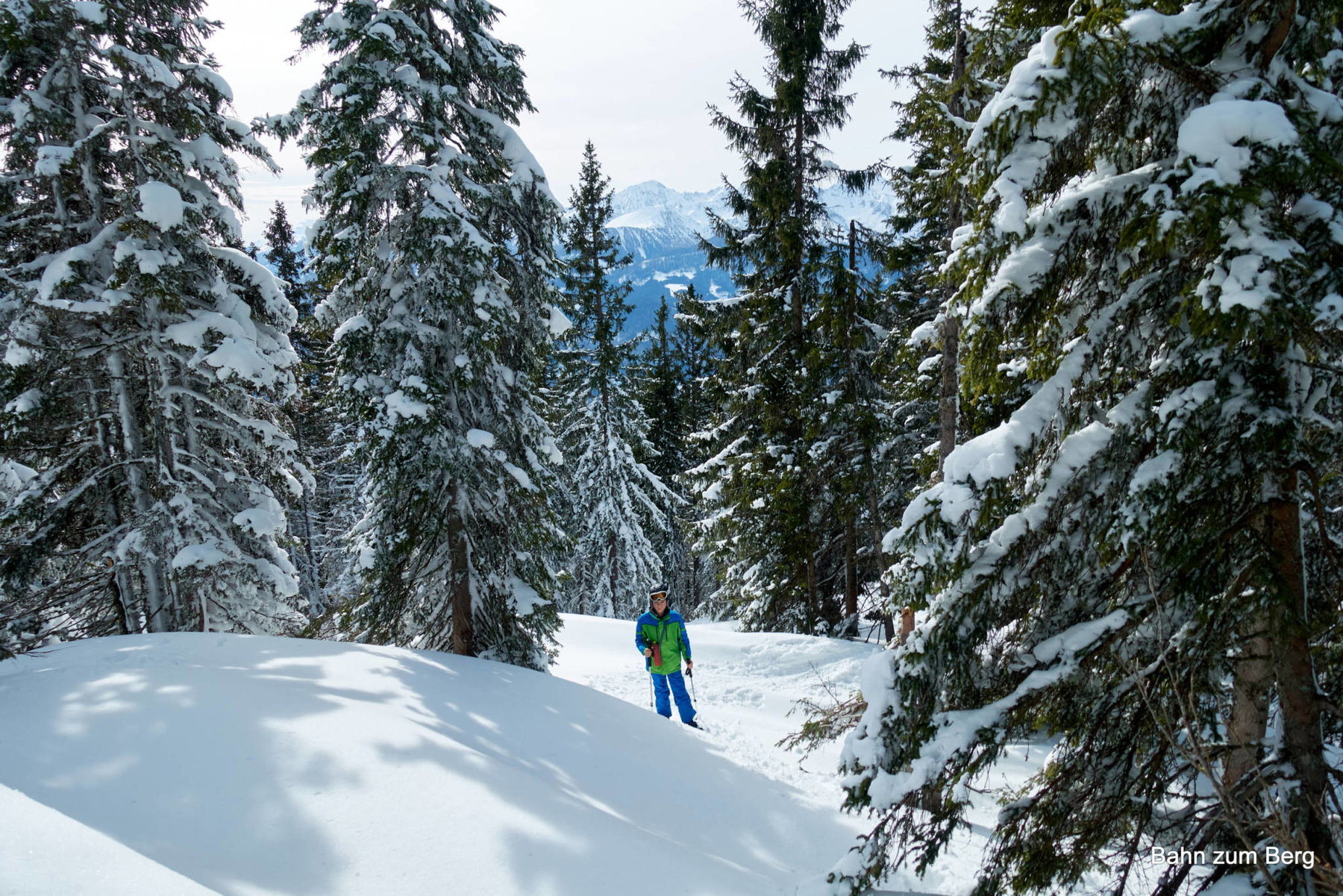 Winterwald
