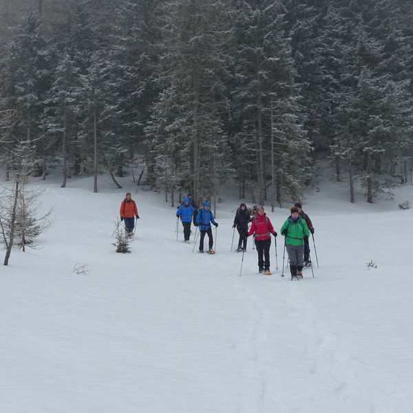 Schneeschuhwanderung zum Grünen See