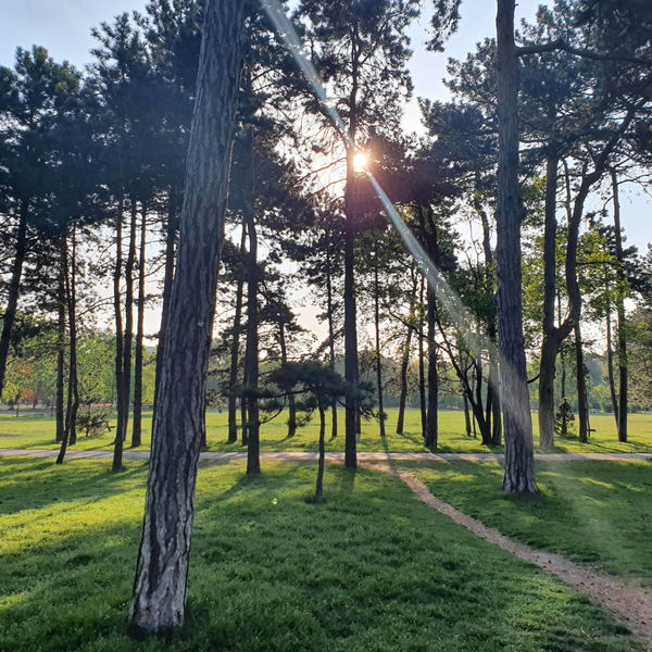 Stadtwanderweg 9 durch den Prater