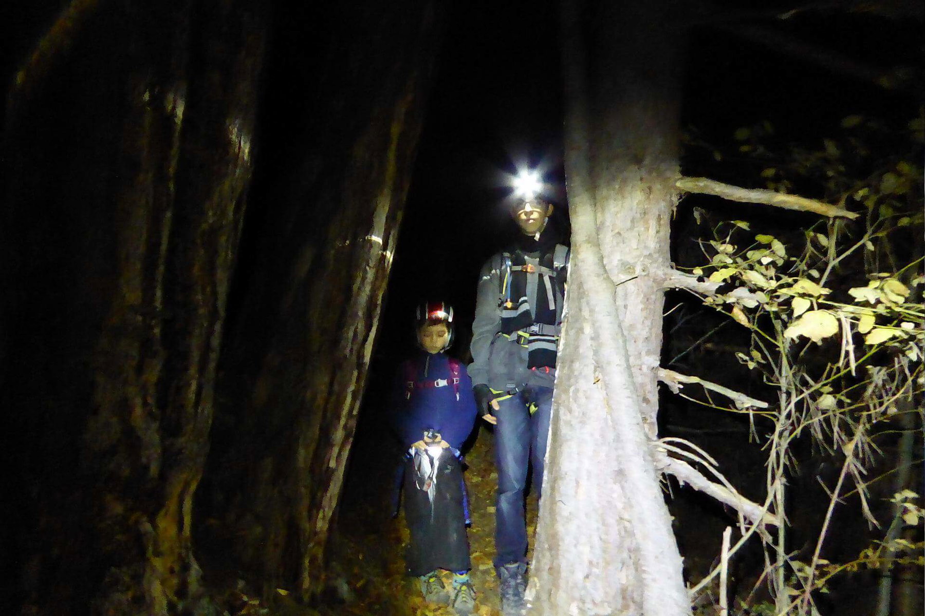 Kurz nach 17:00 ist es jetzt im November im Wald schon stockdunkel.