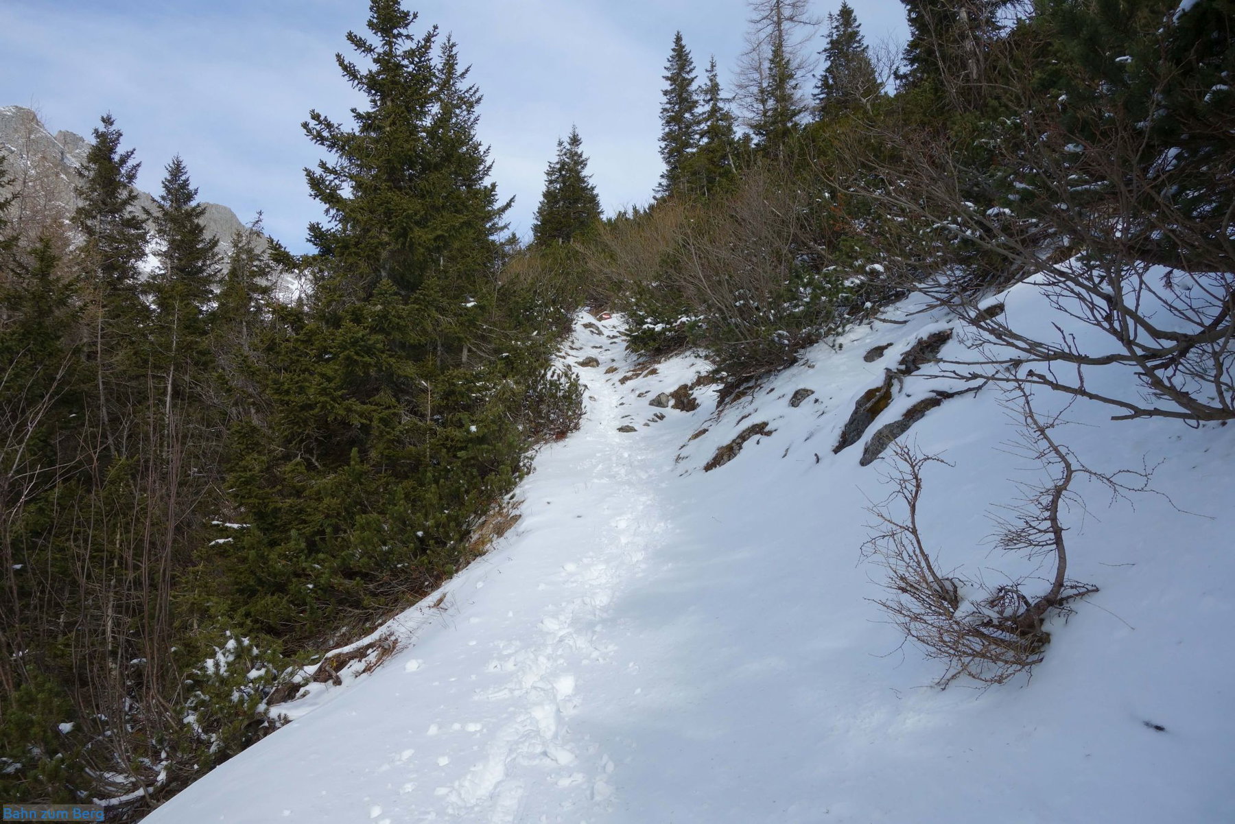 Bis zum Lamingsattel geht es angenehm durch den Wald bergauf.
