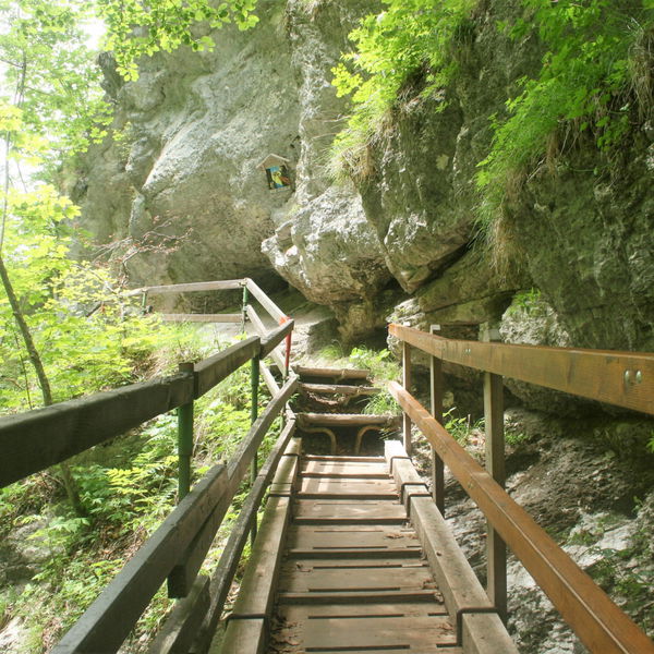 Wanderung durch die Tscheppaschlucht
