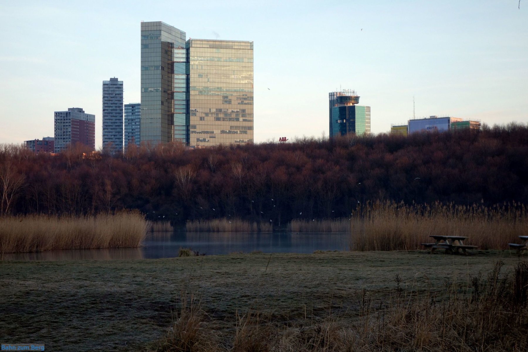 Die Großstadt ist im Erholungsgebiet Wienerberg omnipräsent.