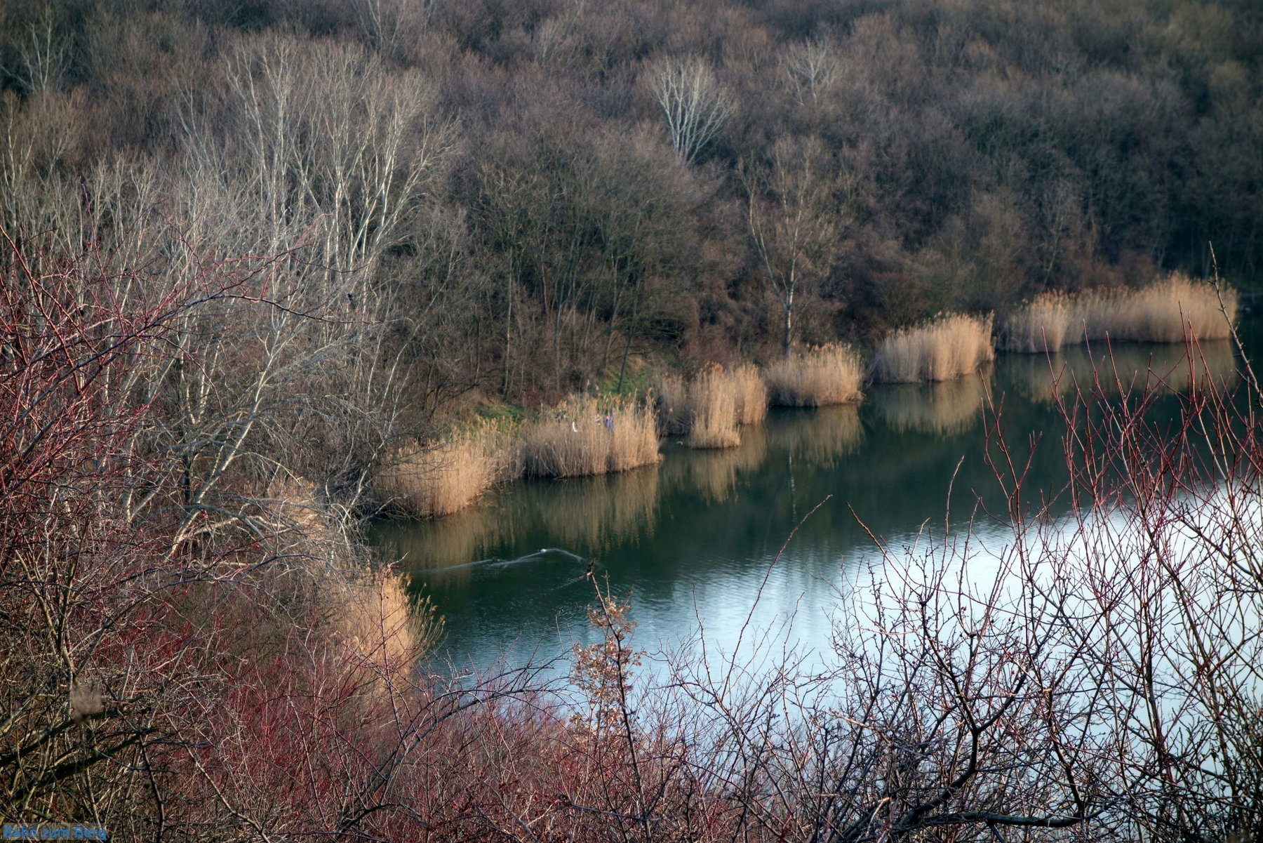 Wienerbergteich