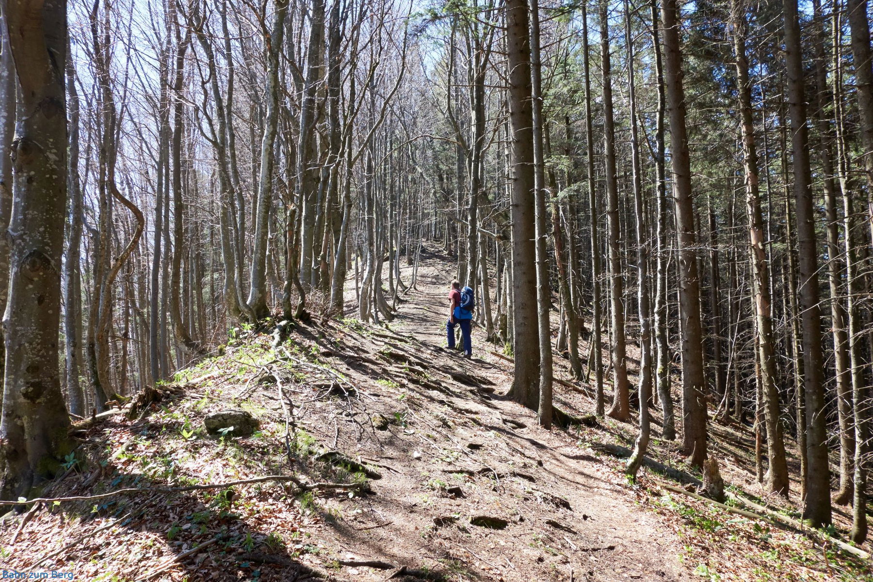 Am Bergrücken entlang zum Sonnkogel hinüber. Foto: Martin Heppner