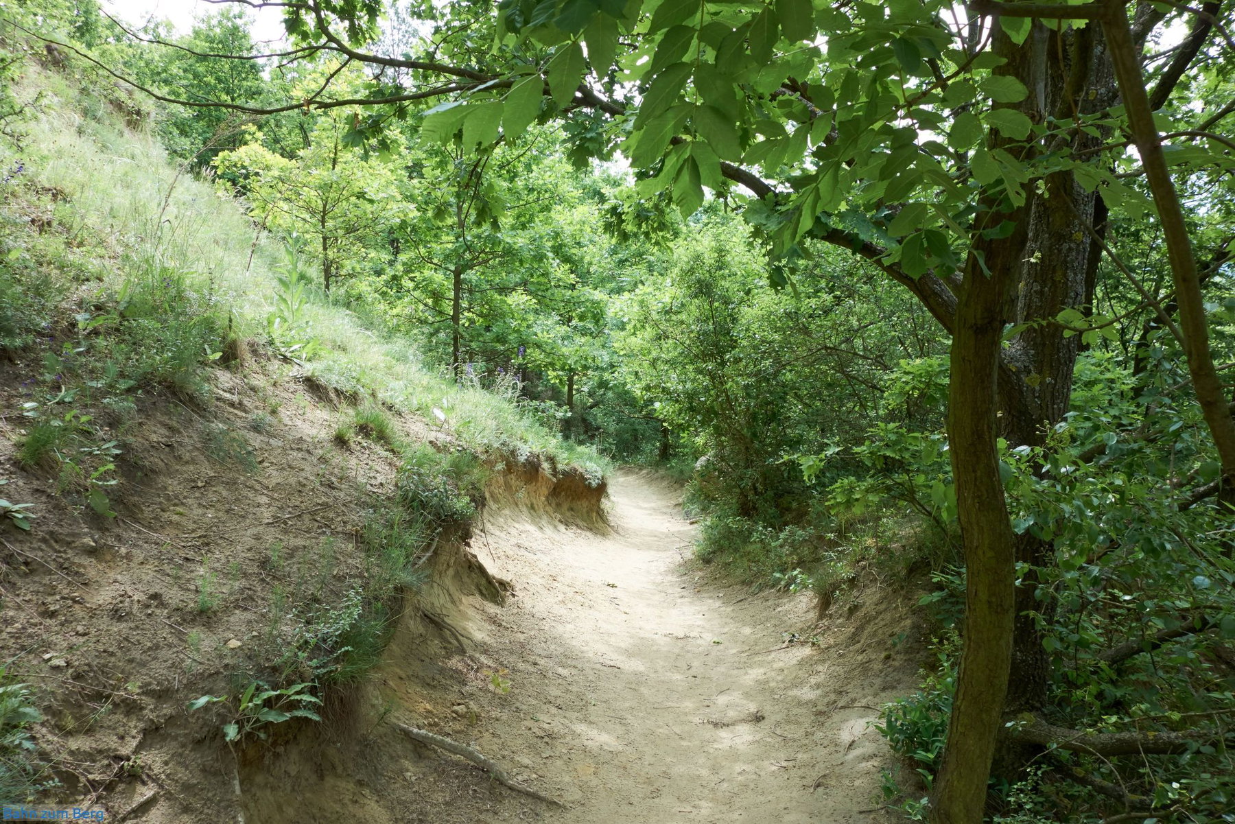 Wanderweg Richtung Devín
