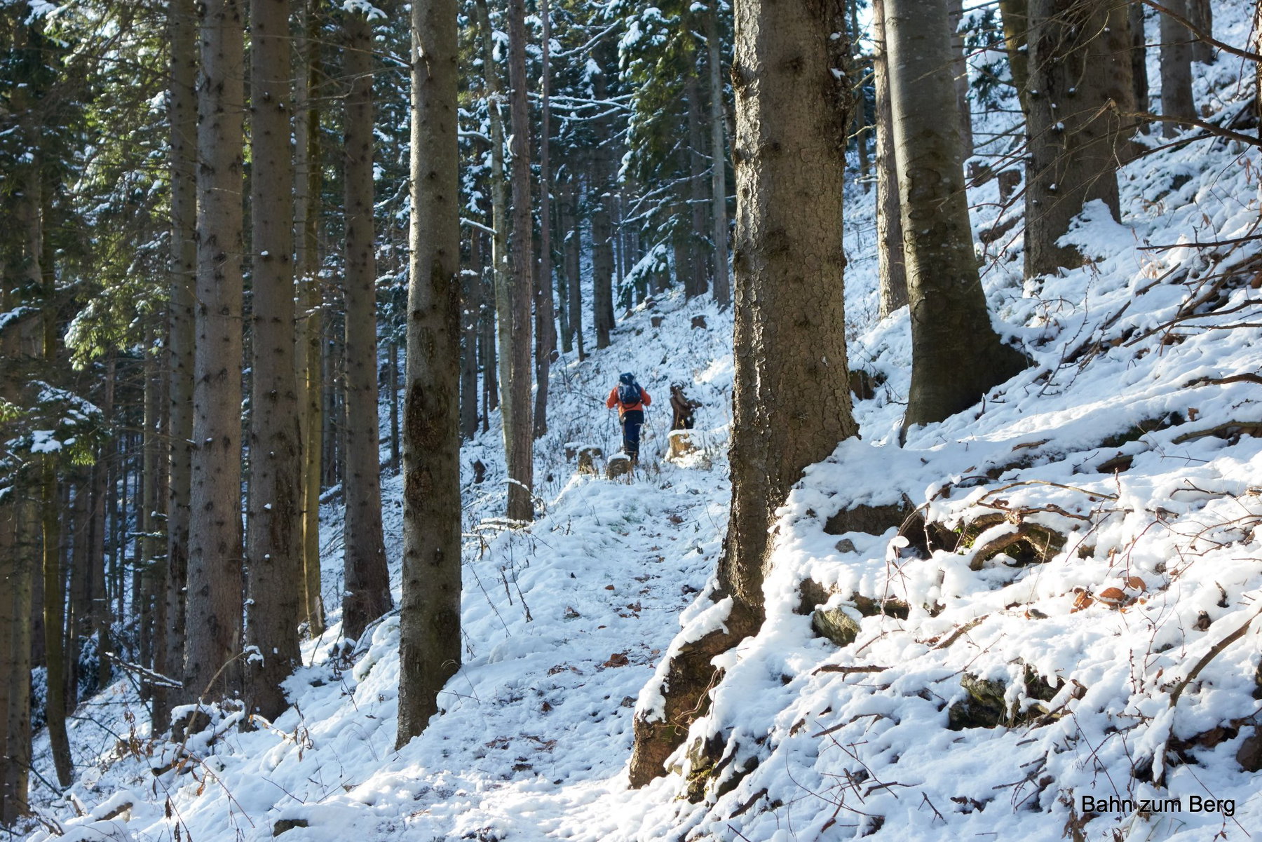 Aufstieg von Hinternaßwald