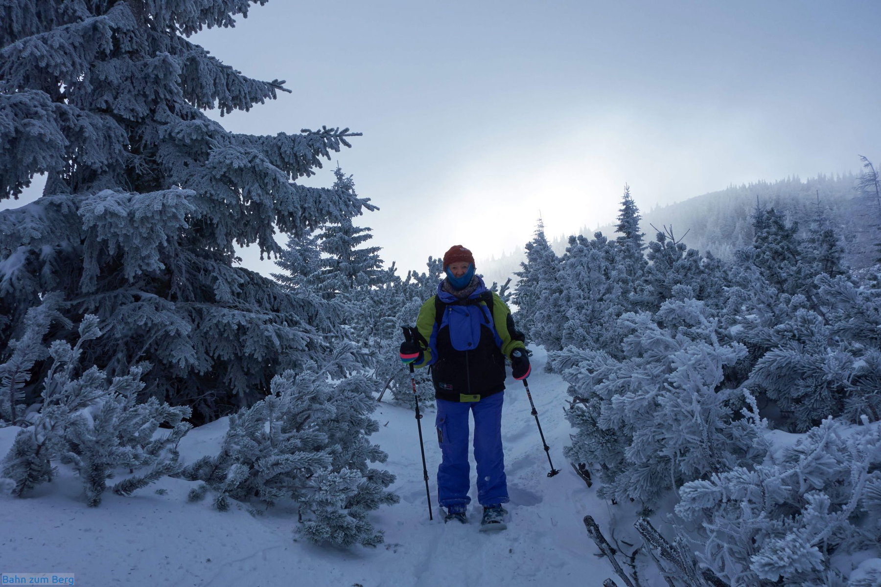 Den Durchlass durch die letzten paar Meter Latschen erkennt man an den abgeschnittenen Ästen. Die Farbmarkierungen sind unterm Schnee.