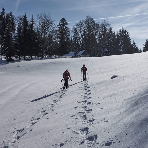 Hinteralm und Muckenkogel