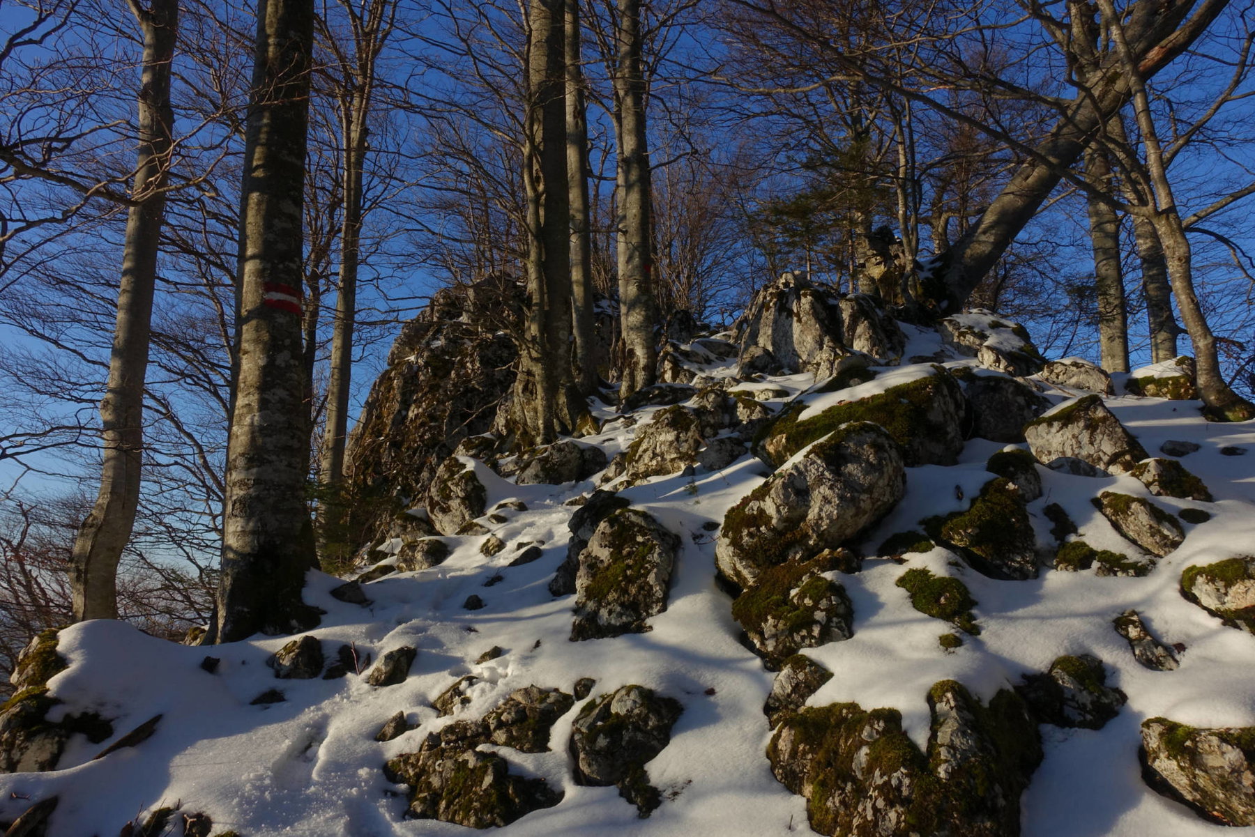 Rotmäuer und Falkenstein im unteren Ennstal