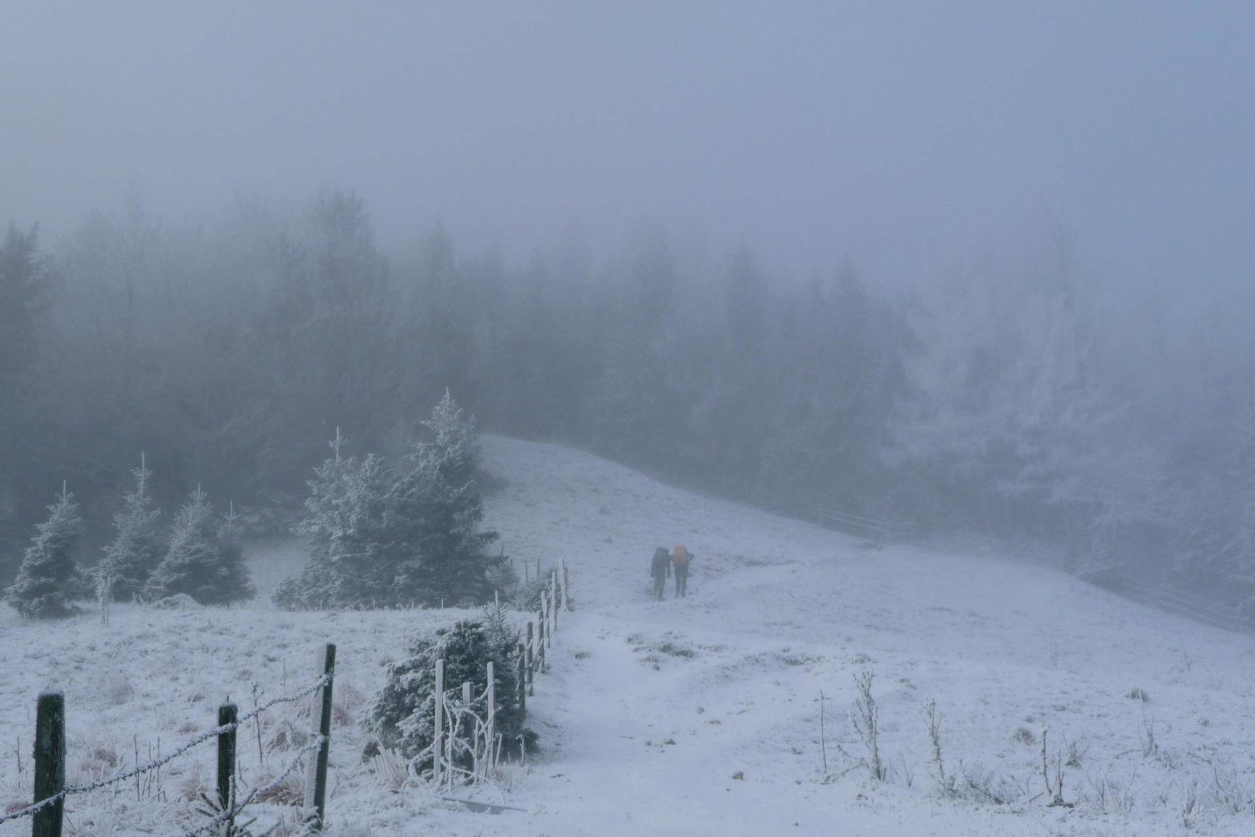 Der Fadensteig beginnt am Waldrand hinter der Edelweißhütte.