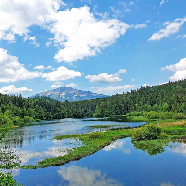 Runde um den Erlaufstausee