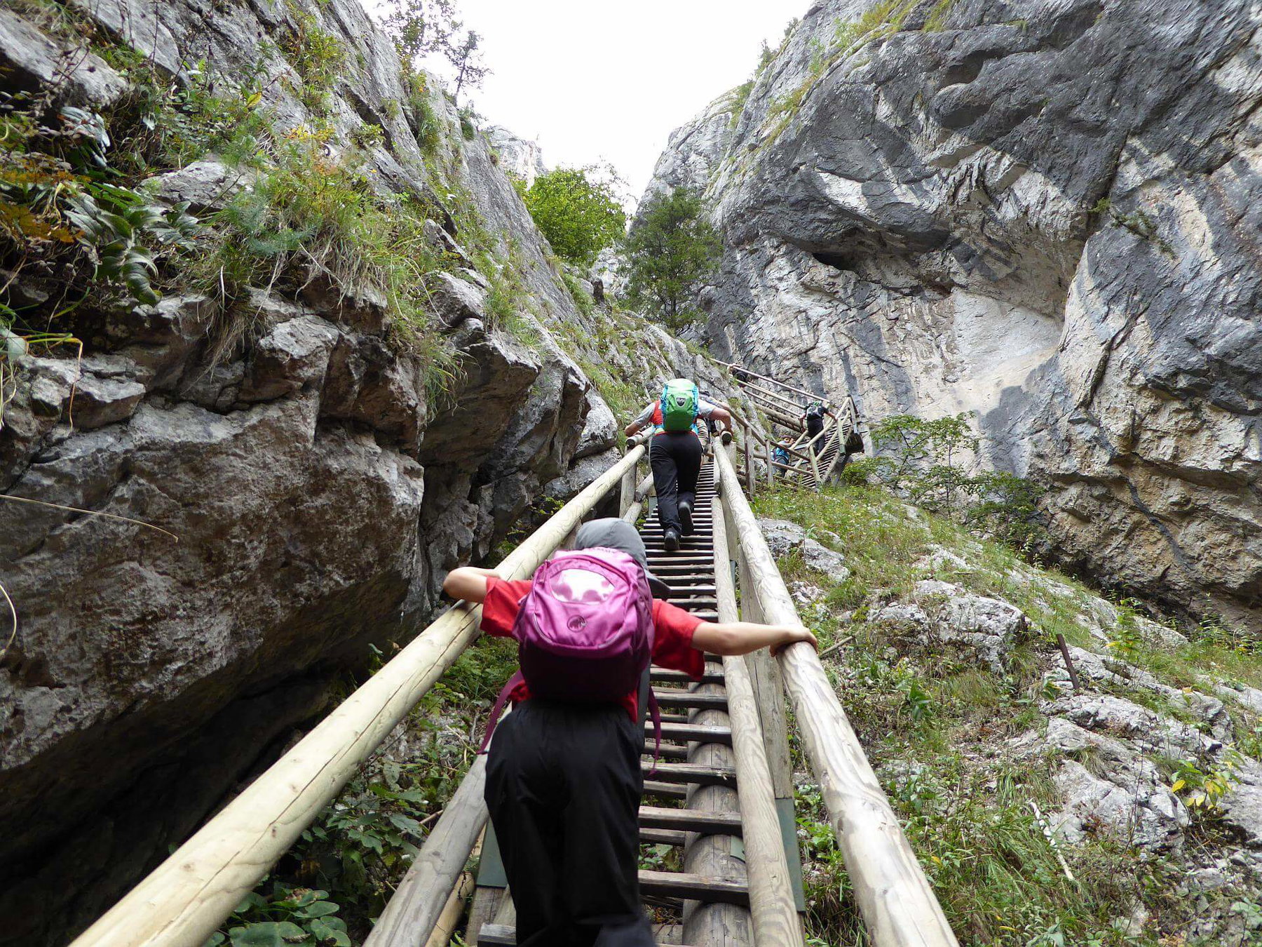 Die Leitern sind teilweise recht steil in der Bärenschützklamm. © 2015 HM