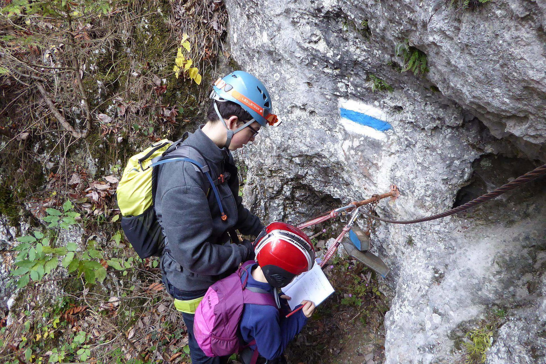 Wandbuch Waldegger Steig