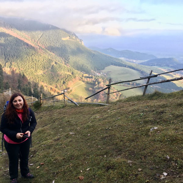 Hohe Wand, Springlessteig und Geländ