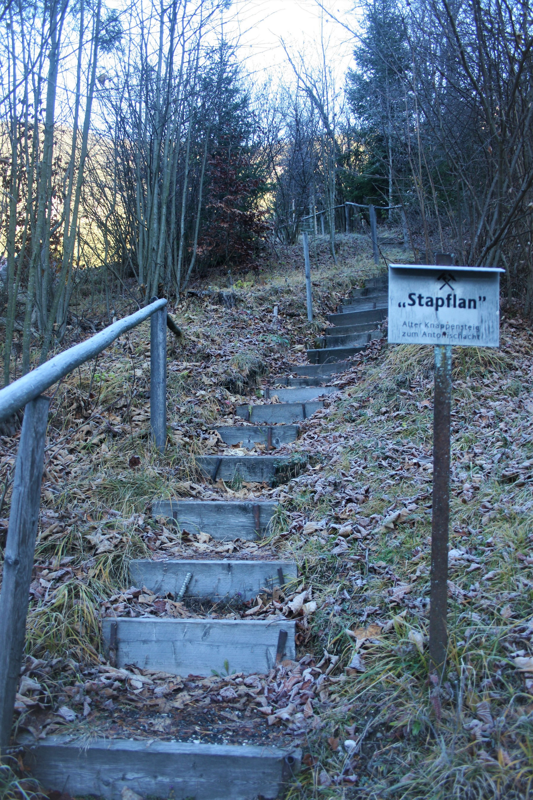 Stapflan. Foto: Birgit Frank