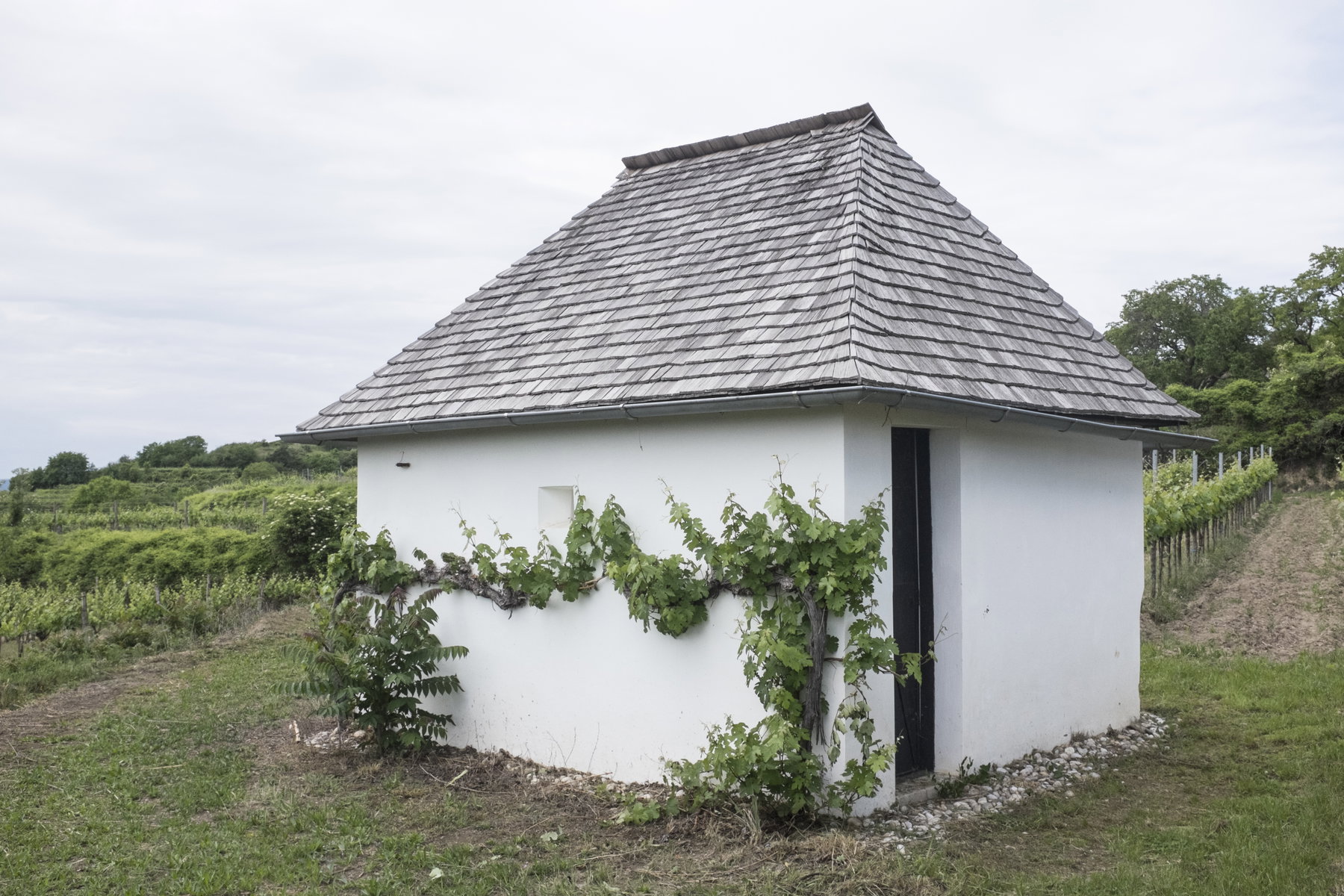 Hiatahütte. Foto: Birgit Reiter