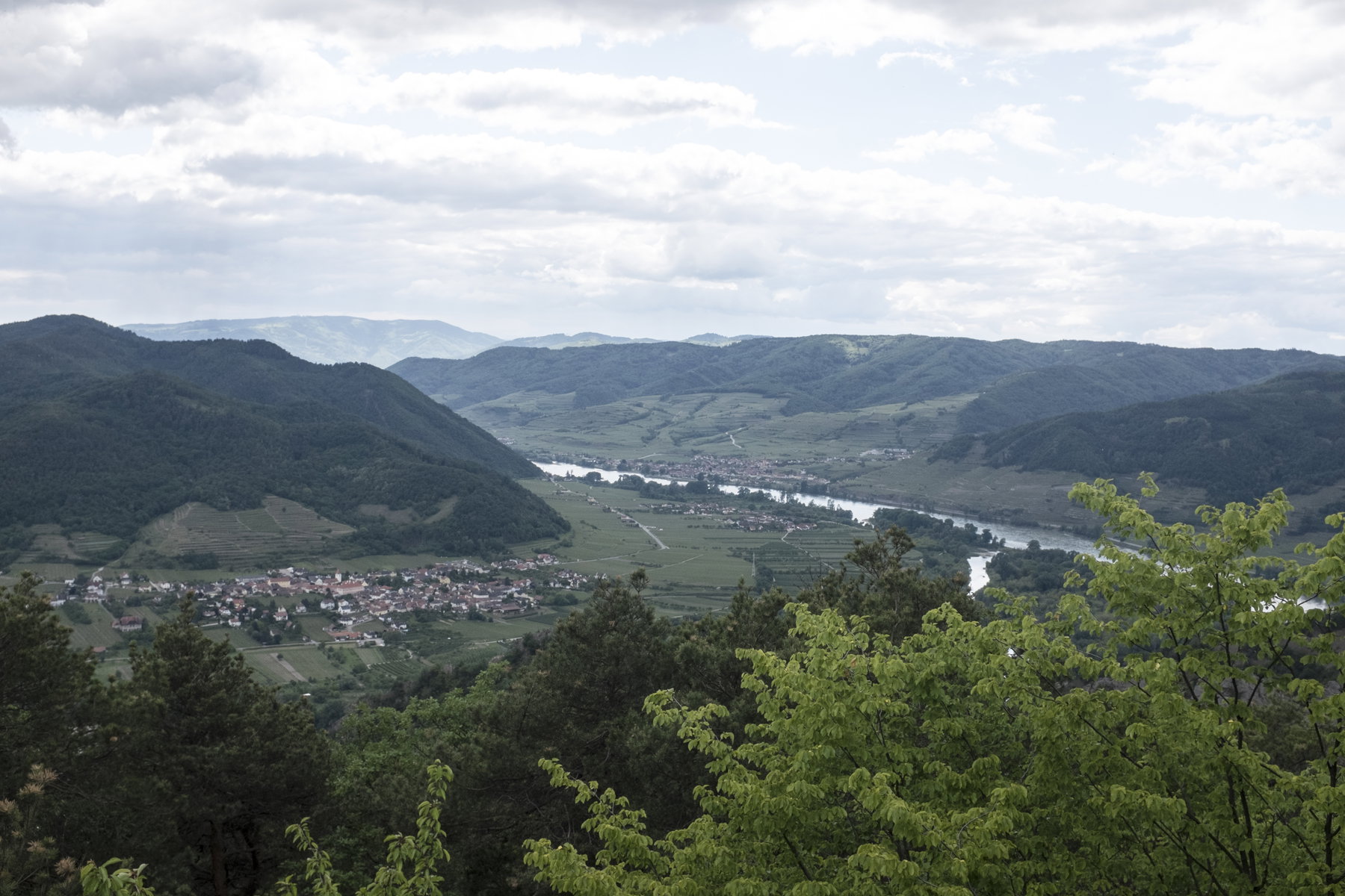 Wachaublick. Foto: Birgit Reiter