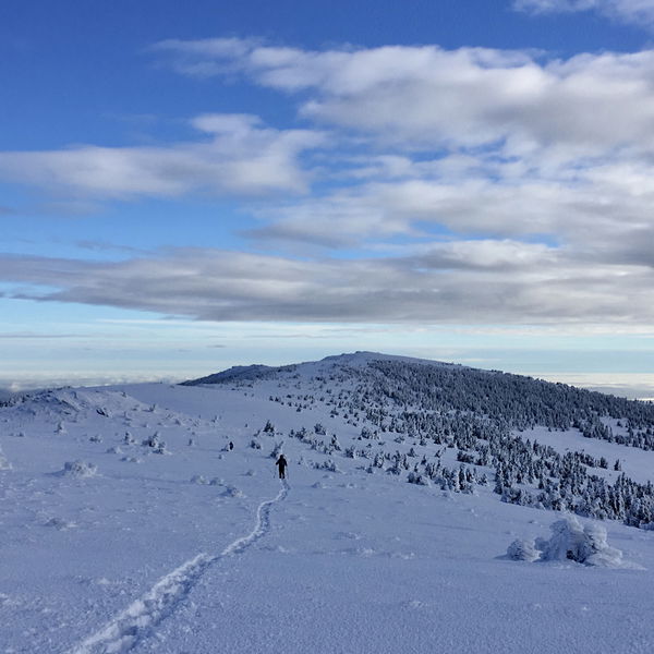 In Schneeschuhen auf den Hochwechsel