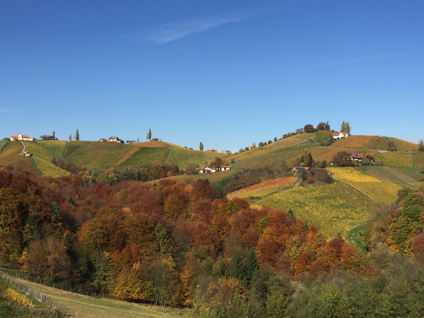 3 Tage Südsteiermark – Rundwanderung