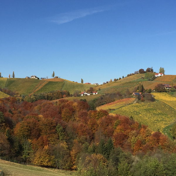 3 Tage Südsteiermark – Rundwanderung