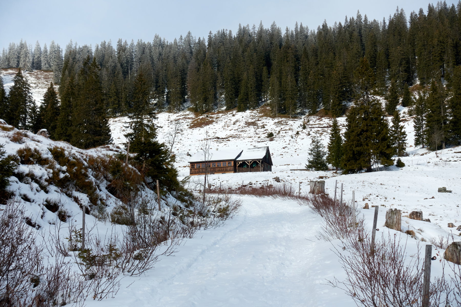 Meßner Alm. Foto Martin Heppner