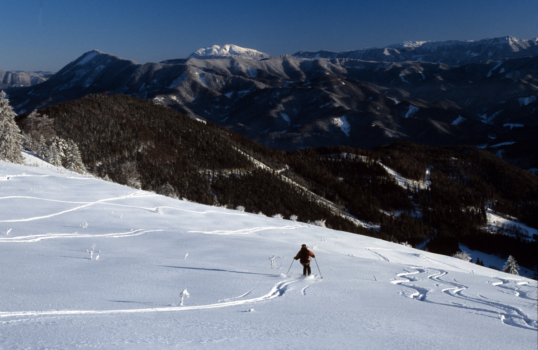 Auch als Skitour beliebt: Abfahrt vom Eisenstein, im Hintergrund der Schneeberg. Foto: Alpenverein Edelweiss