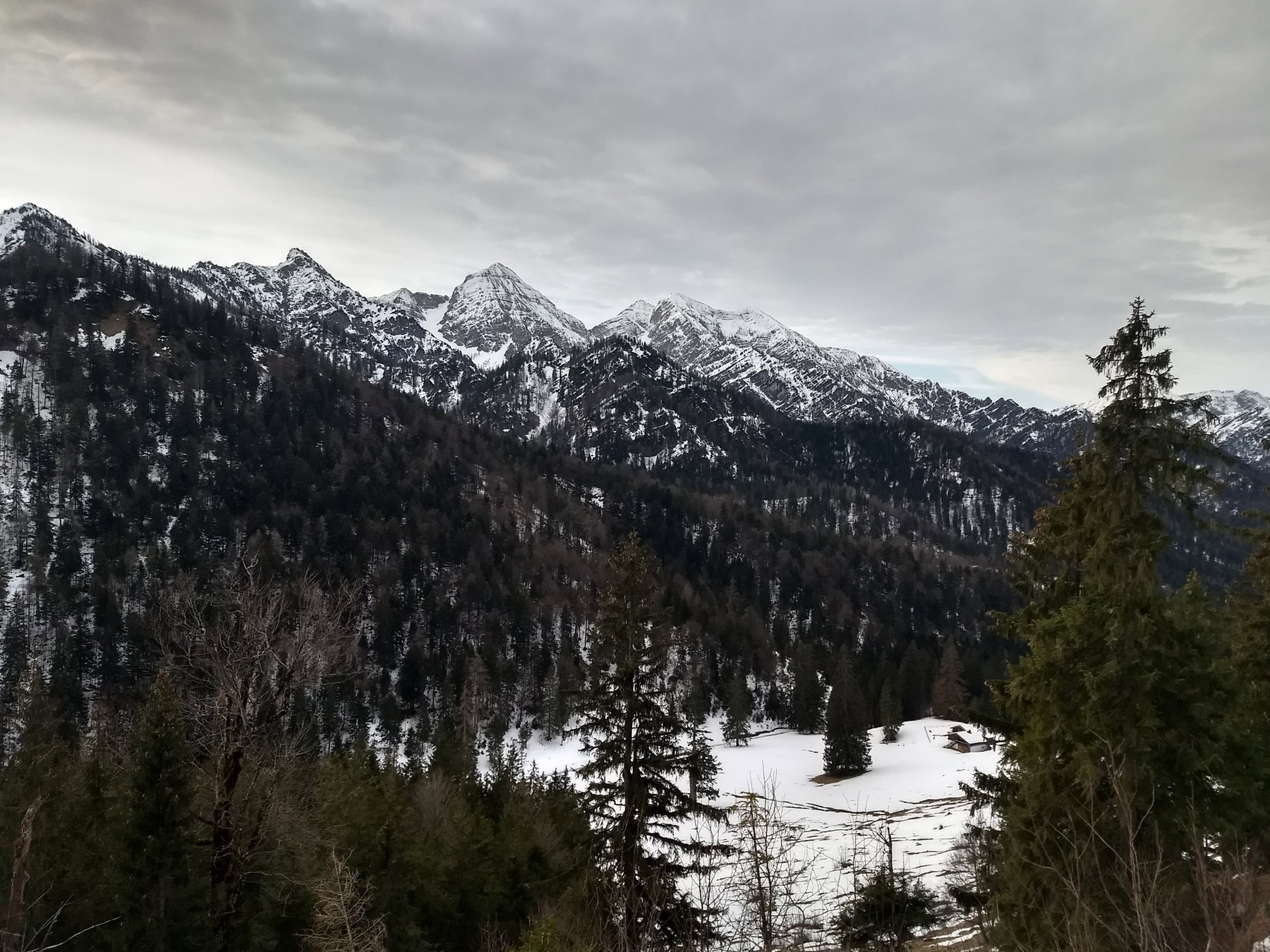 Oberhalb der Kaitlalm – Blick zum Sonntagshorn. Foto: Nikolaus Vogl