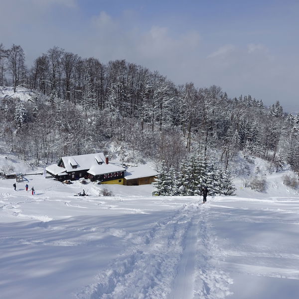 Skitour Muckenkogel