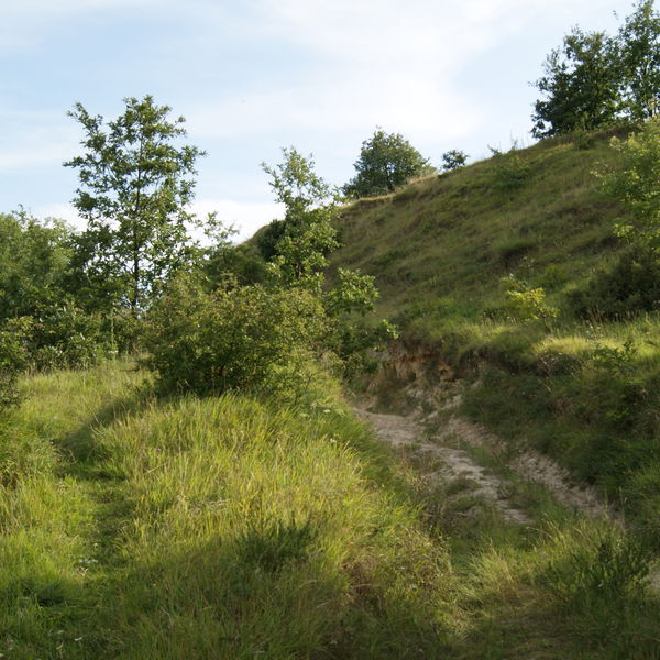 2 Natura Trail „Vom Rosaliengebirge zum Neusiedler See“ Etappe 2