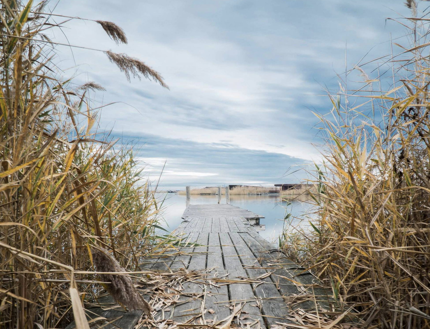 3: Natura Trail „Vom Rosaliengebirge zum Neusiedler See“ Etappe 3
