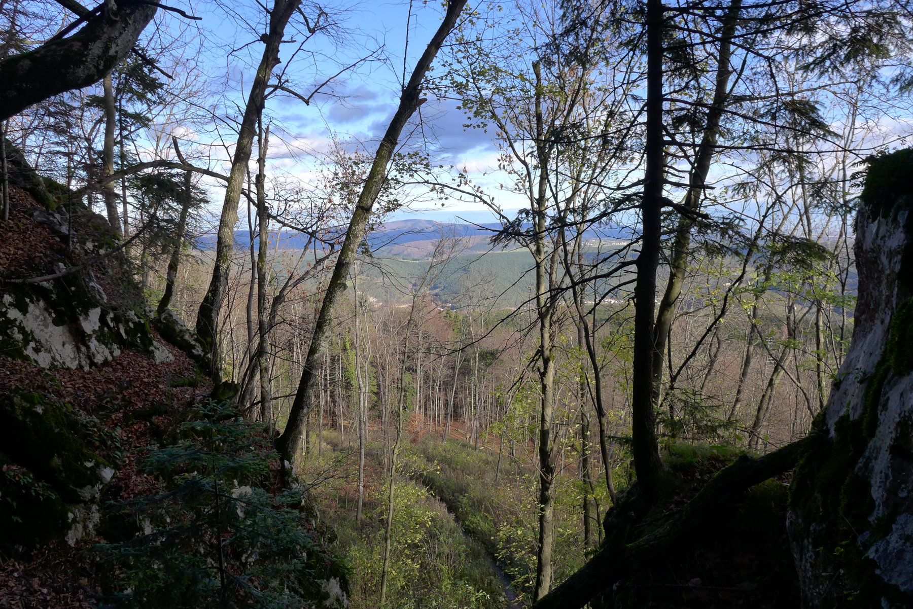 Ausblick vom Dobrilsteig. Foto: Alpenverein Edelweiss
