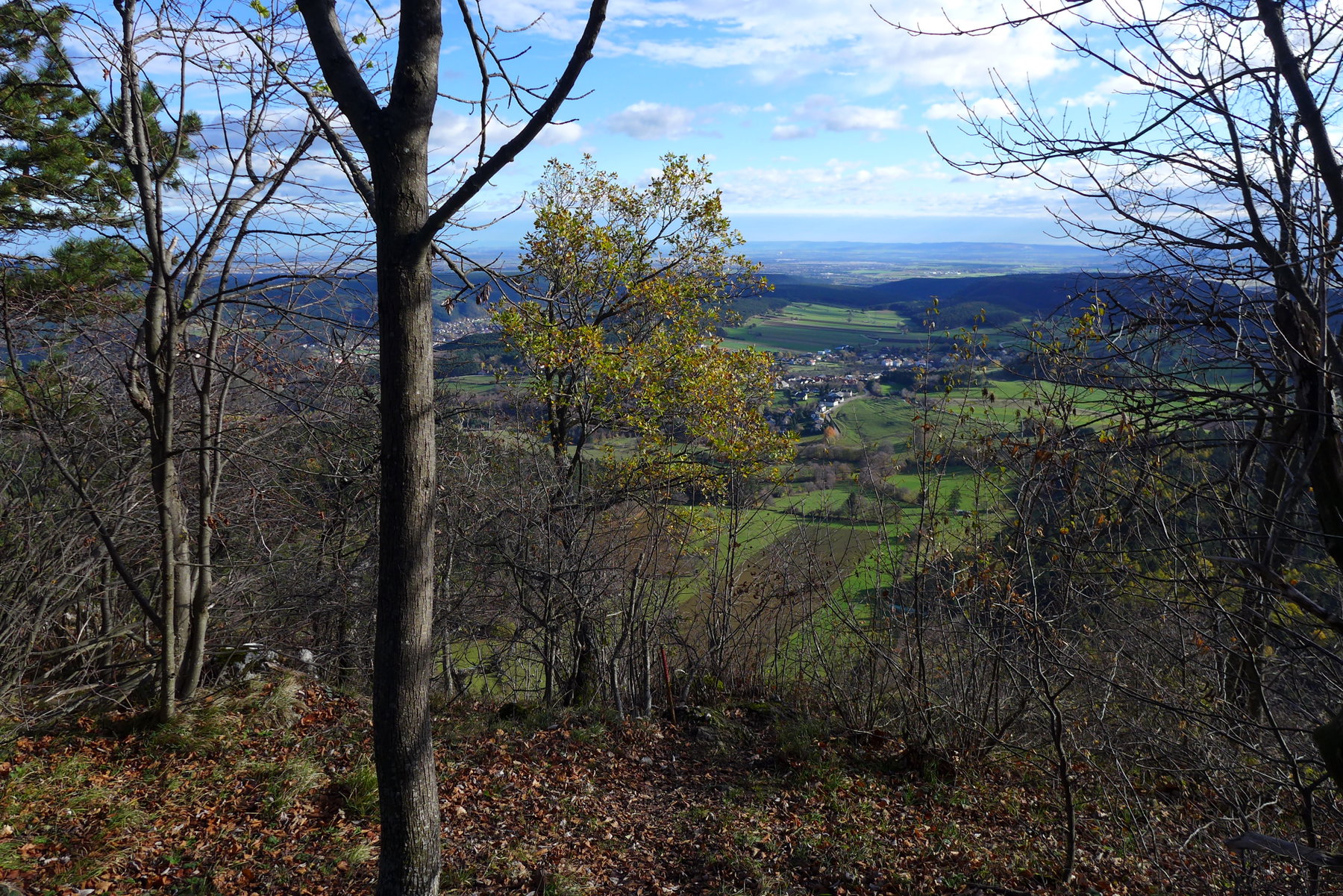 Ausblick von der Hohen Wand 1. Foto: Alpenverein Edelweiss