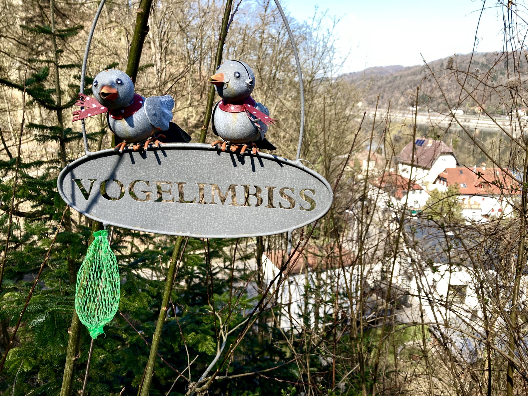 Vogelimbiss. Foto: Stefan Hochhold