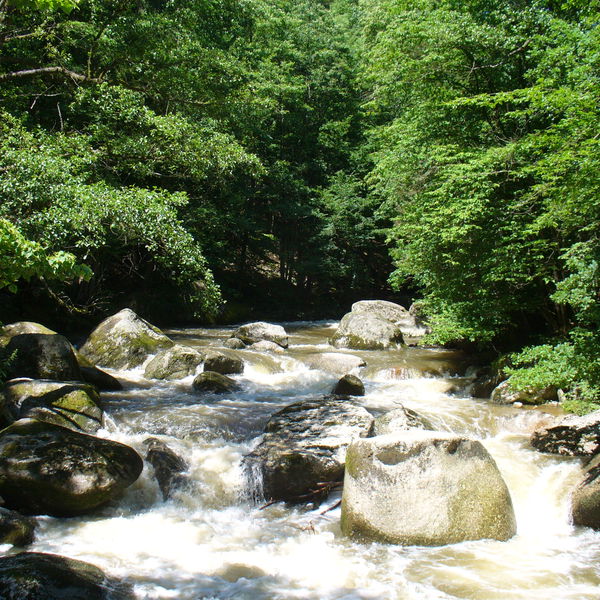 15: Natura Trail „Feldaist“