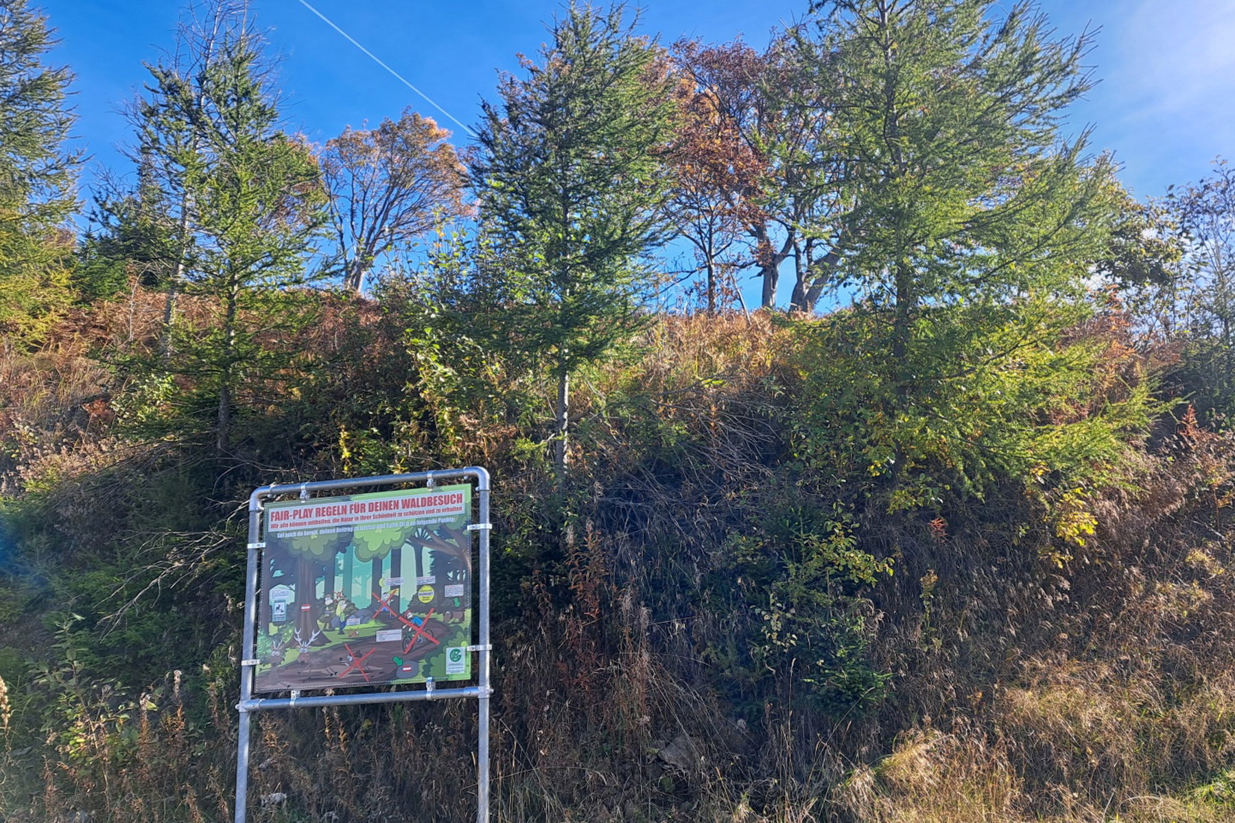 Vom leider seit Jahren geschlossenen Hotel Grüner Baum führt der Weg zur Poserhütte. Foto: Birgit Reiter