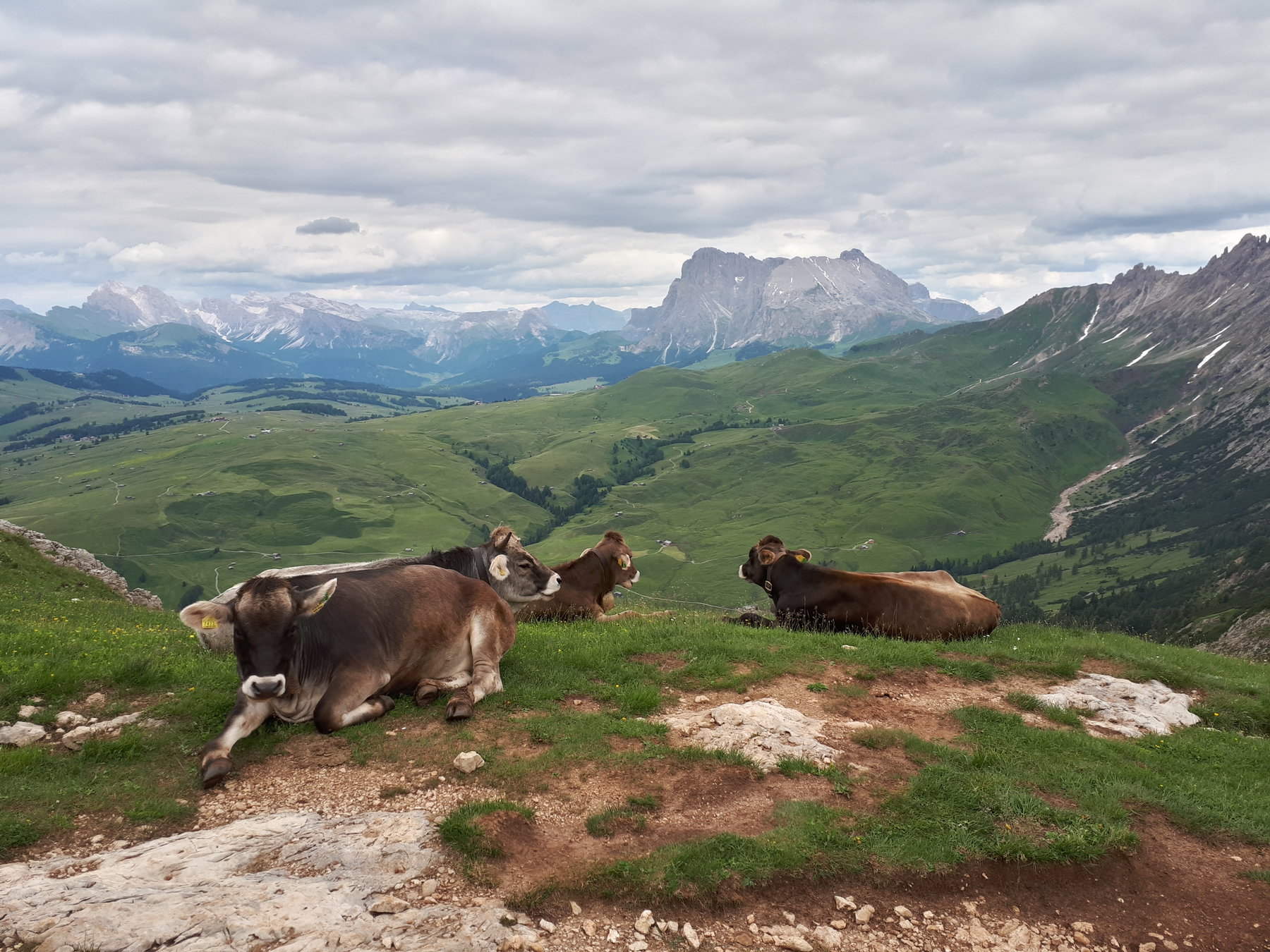 Das Almgebiet der Seiser Alm ist so bekannt wie wunderbar. Foto: Konrad Gwiggner