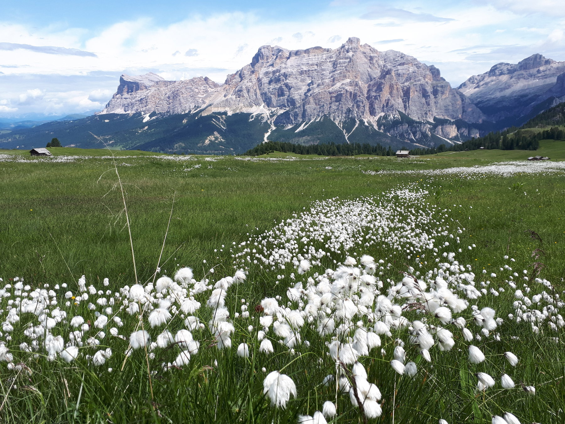Beim Abstieg von Pralongiá mit Blick auf den Naturpark Sennes-Fanes-Prags, das nächstes Ziel. Foto: Konrad Gwiggner
