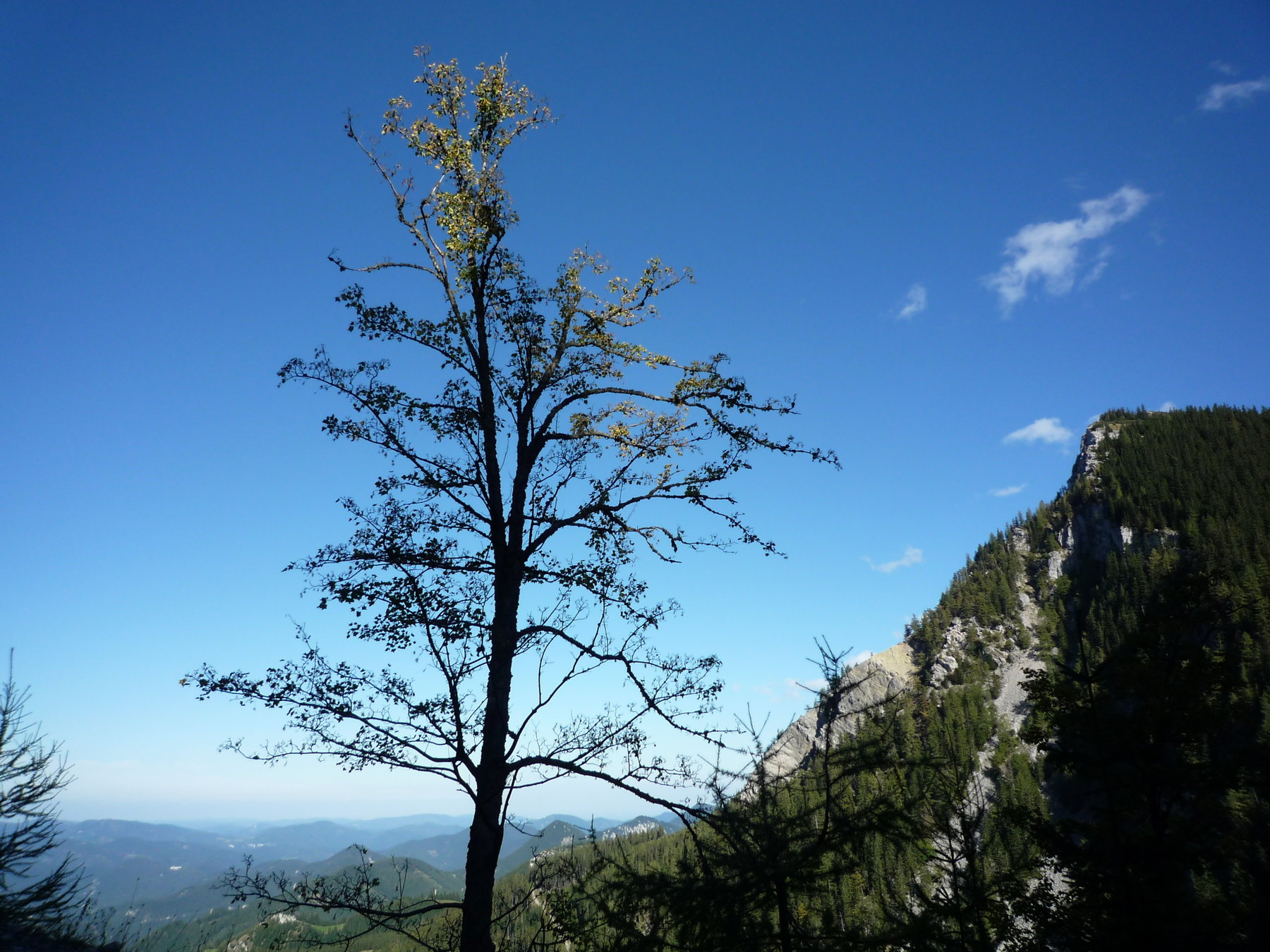 Auf dem Fadenweg. Foto: Alpenverein Edelweiss