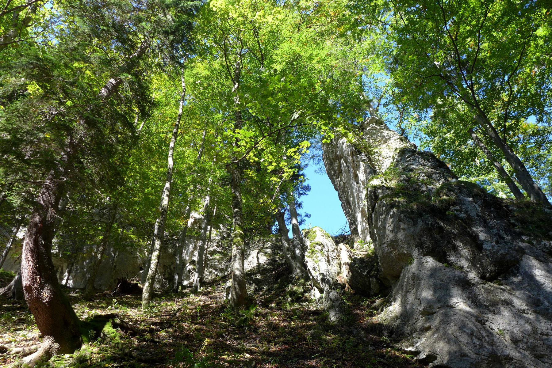 In der Weichtalklamm 1. Foto: Alpenverein Edelweiss