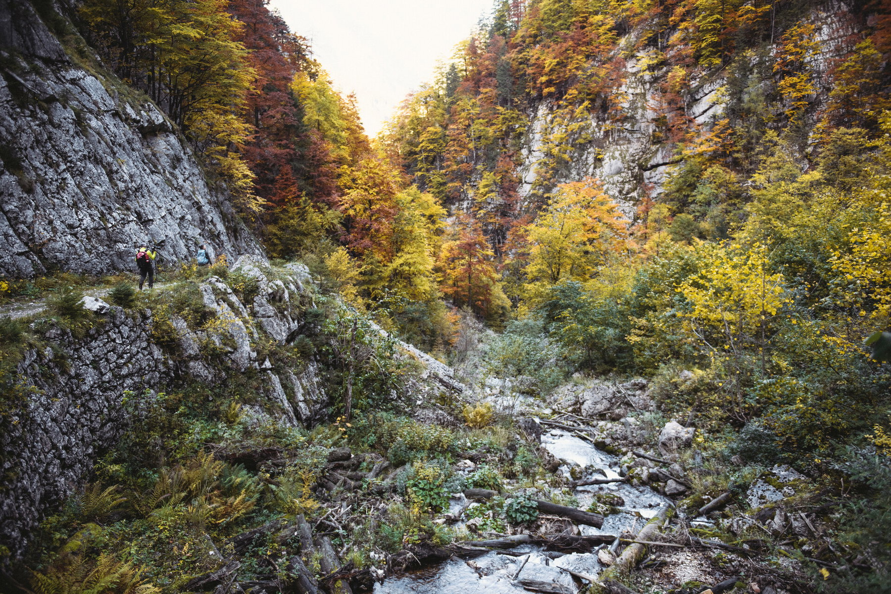 Impressionen von der Wanderung 1. Foto: Stefan Leitner