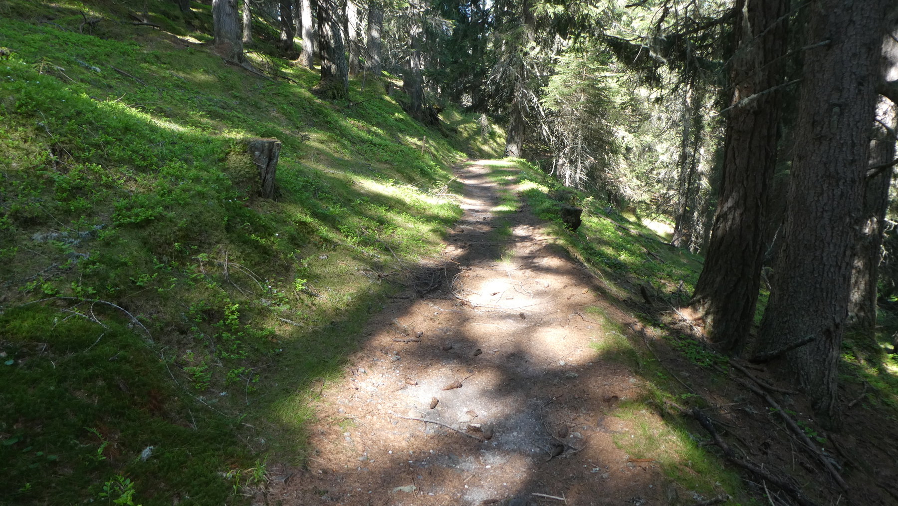 Nahe Eggeralm. Foto: Karl Plohovich