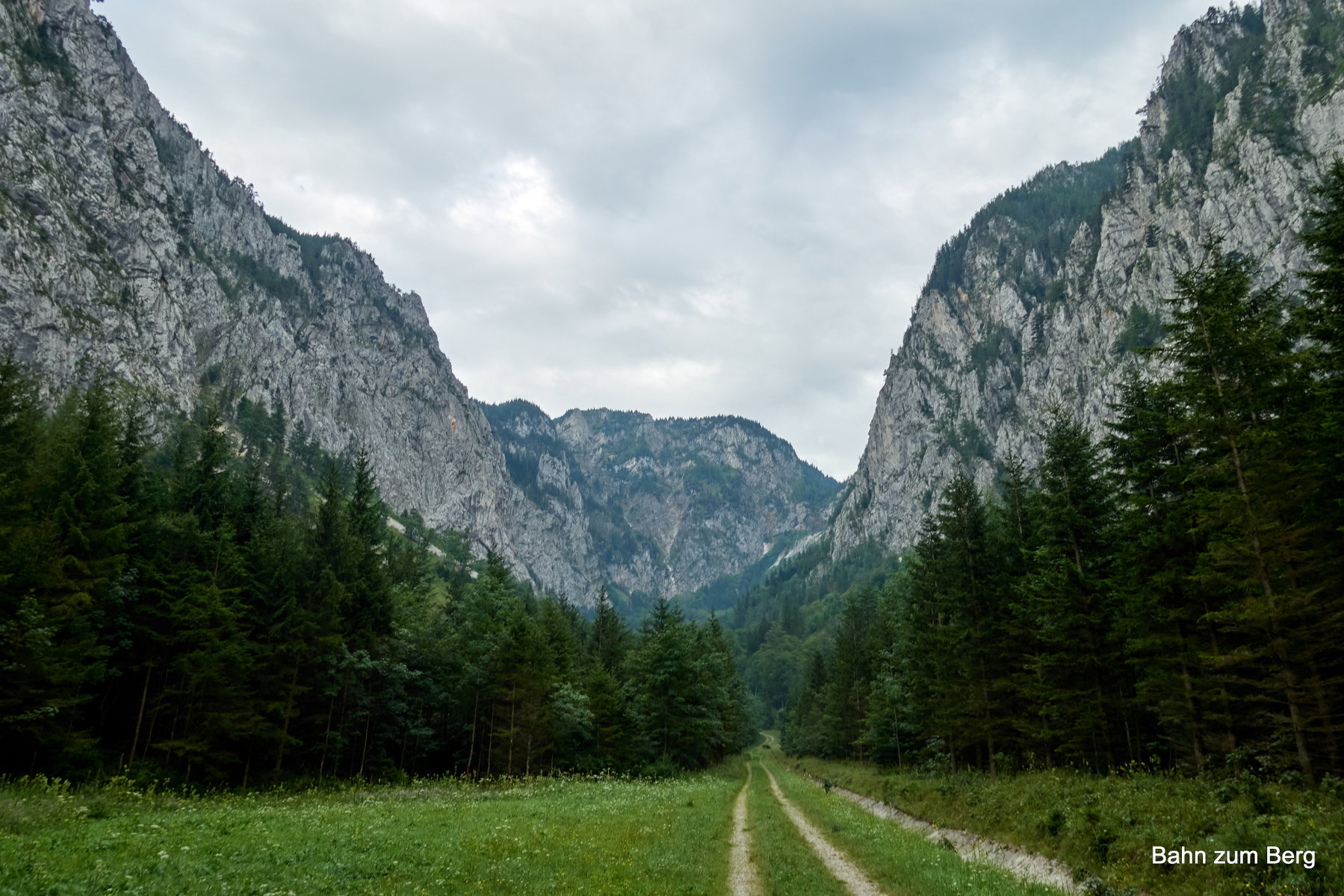 Forststraße ins Höllental. Foto: Martin Heppner