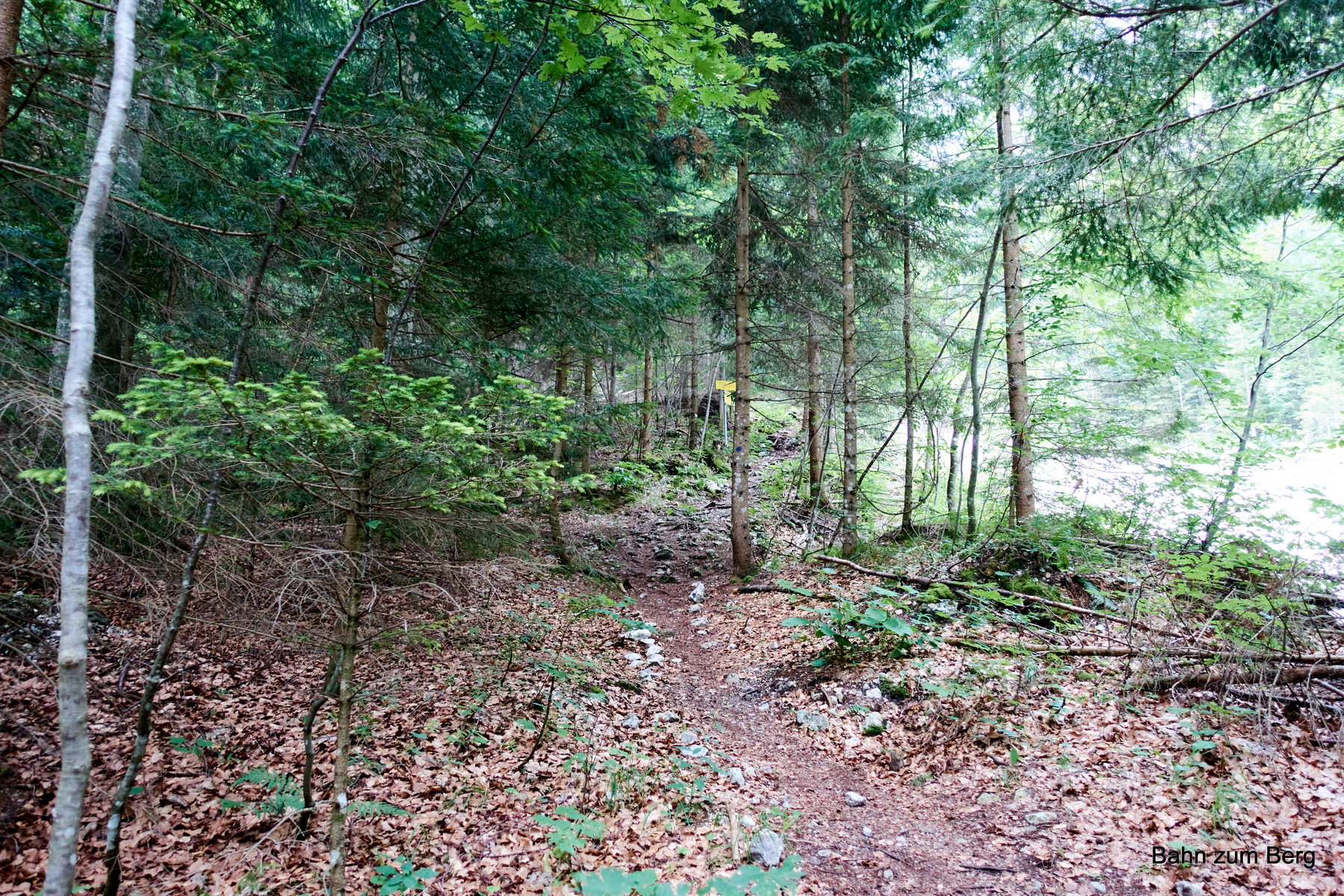Ende der Forststraße im Höllental. Foto: Martin Heppner