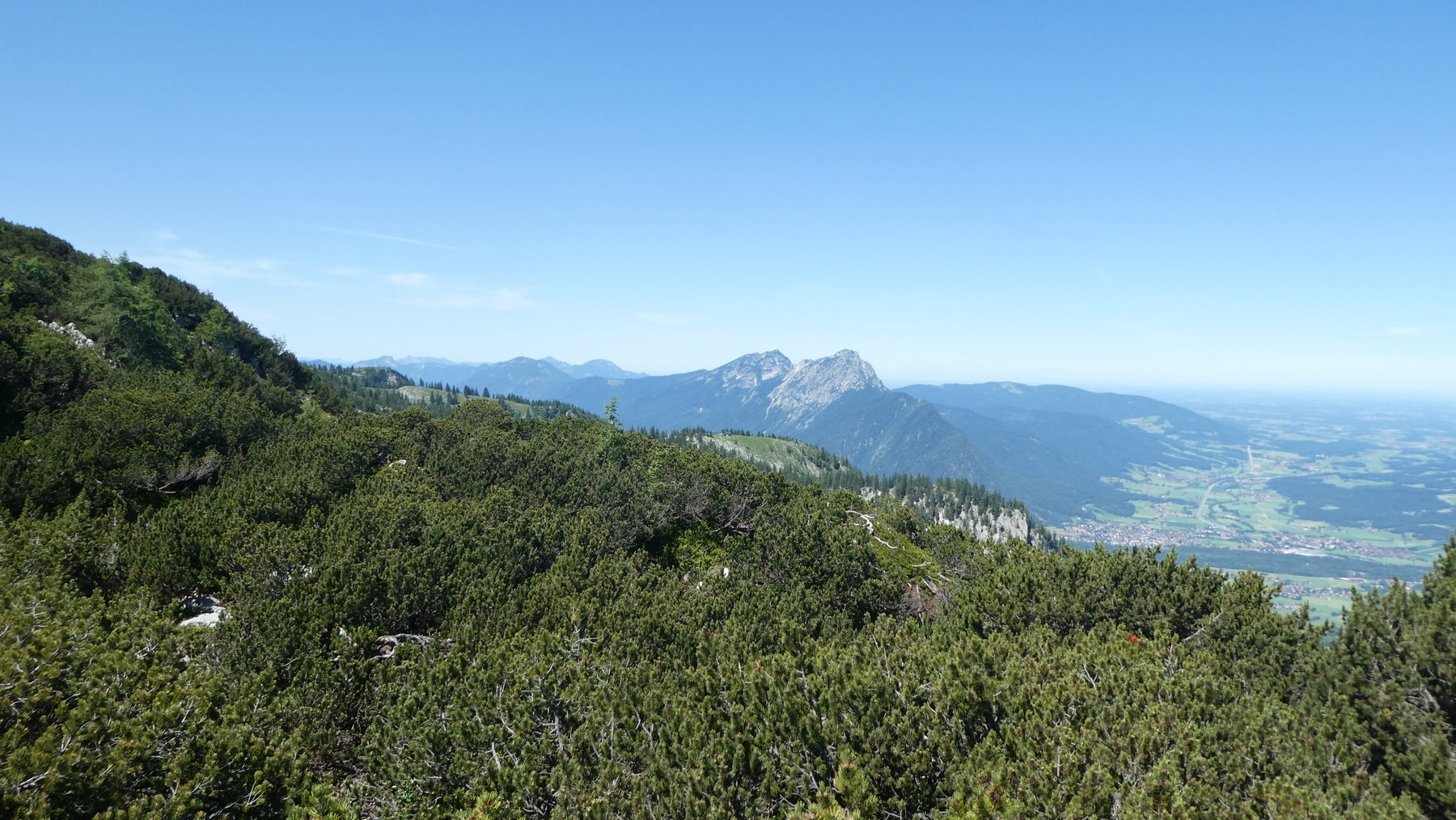 Durch das Latschendickicht zur schon – vor Staufen und Zwiesel – sichtbaren Klingeralm. Foto: Karl Plohovich