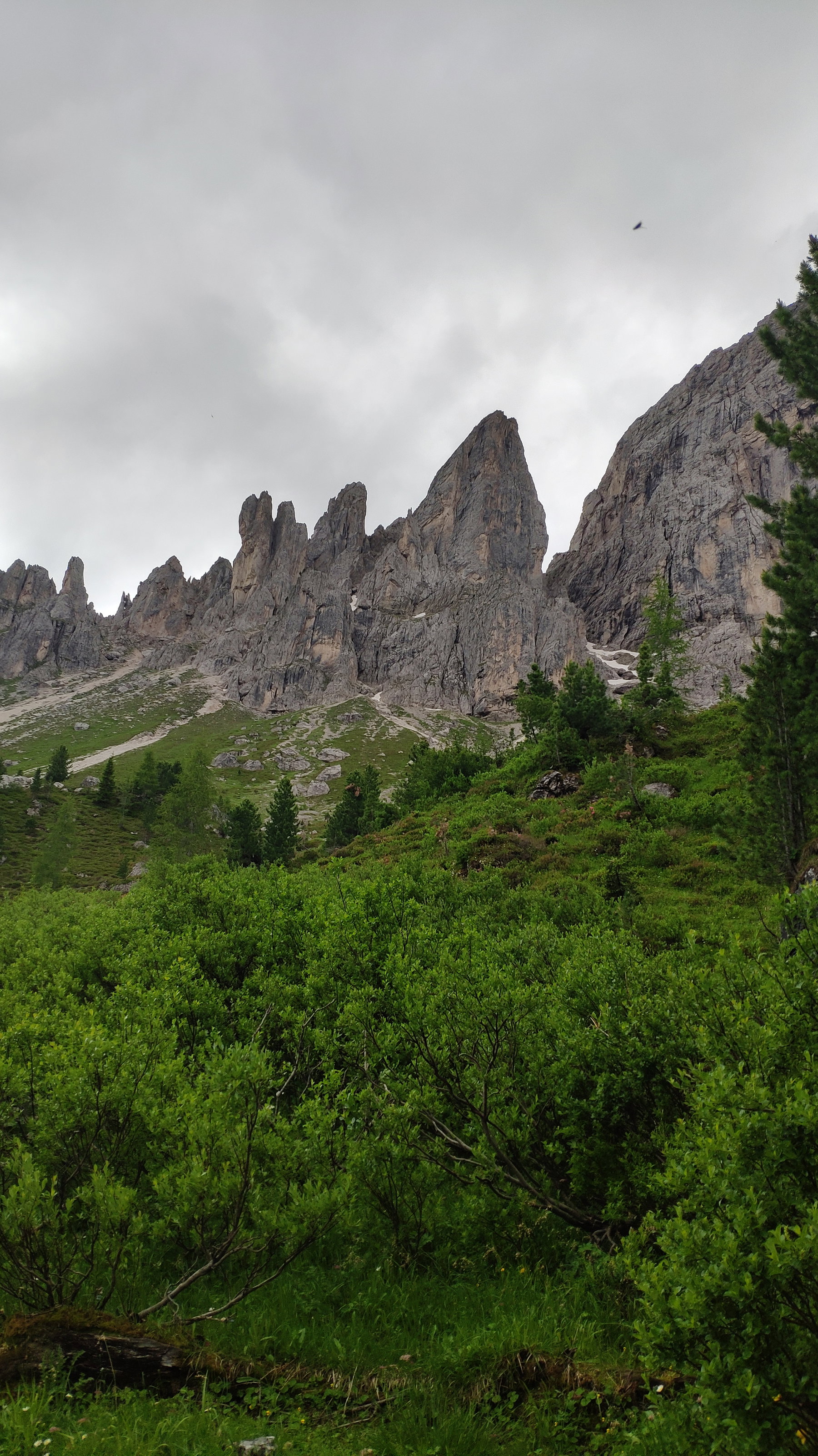 Rundweg Peitlerkofel, Ausblick vom Zendleser Kofel. Fotos Birgit Matzinger
