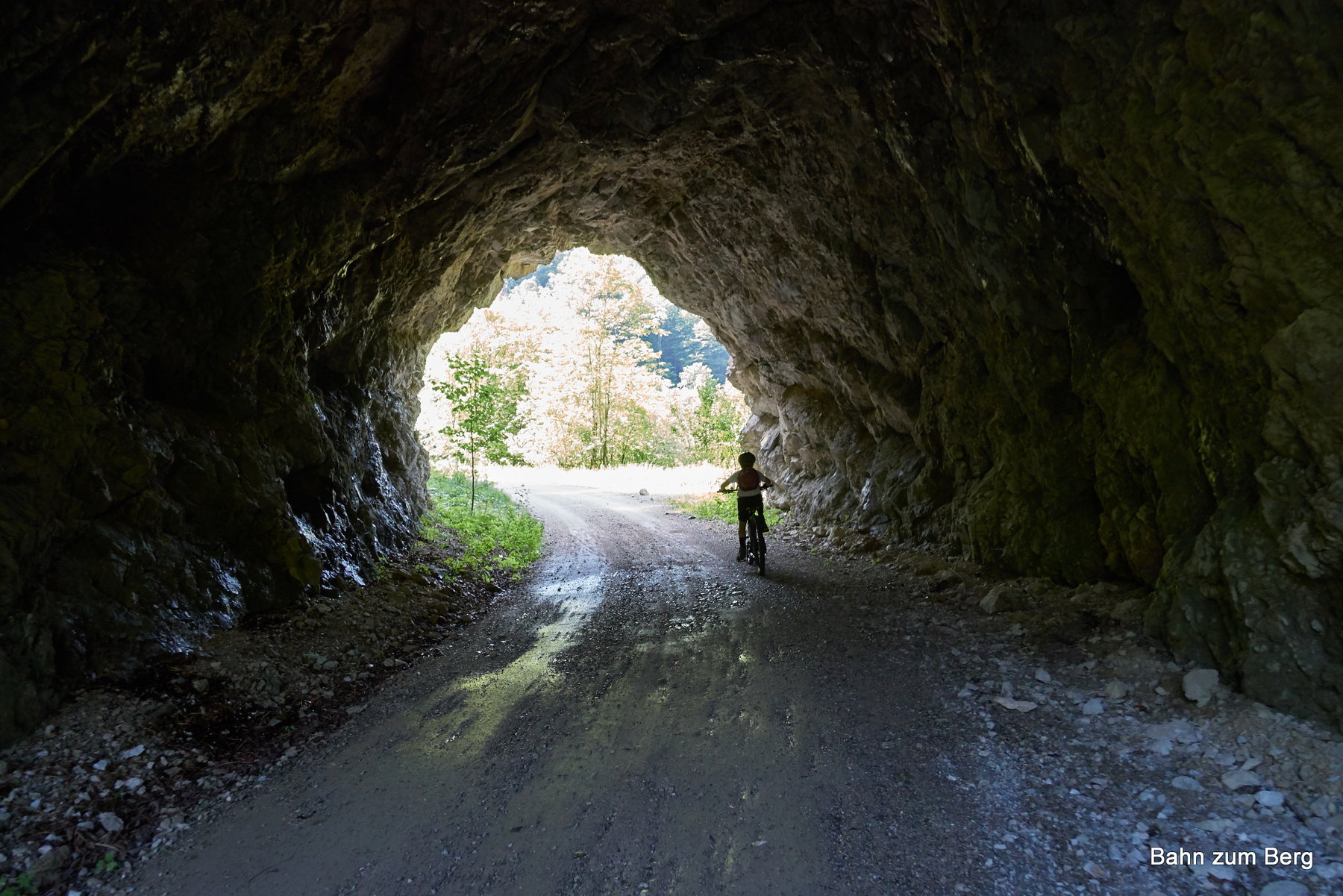 Durch Tunnel der alten Waldbahn