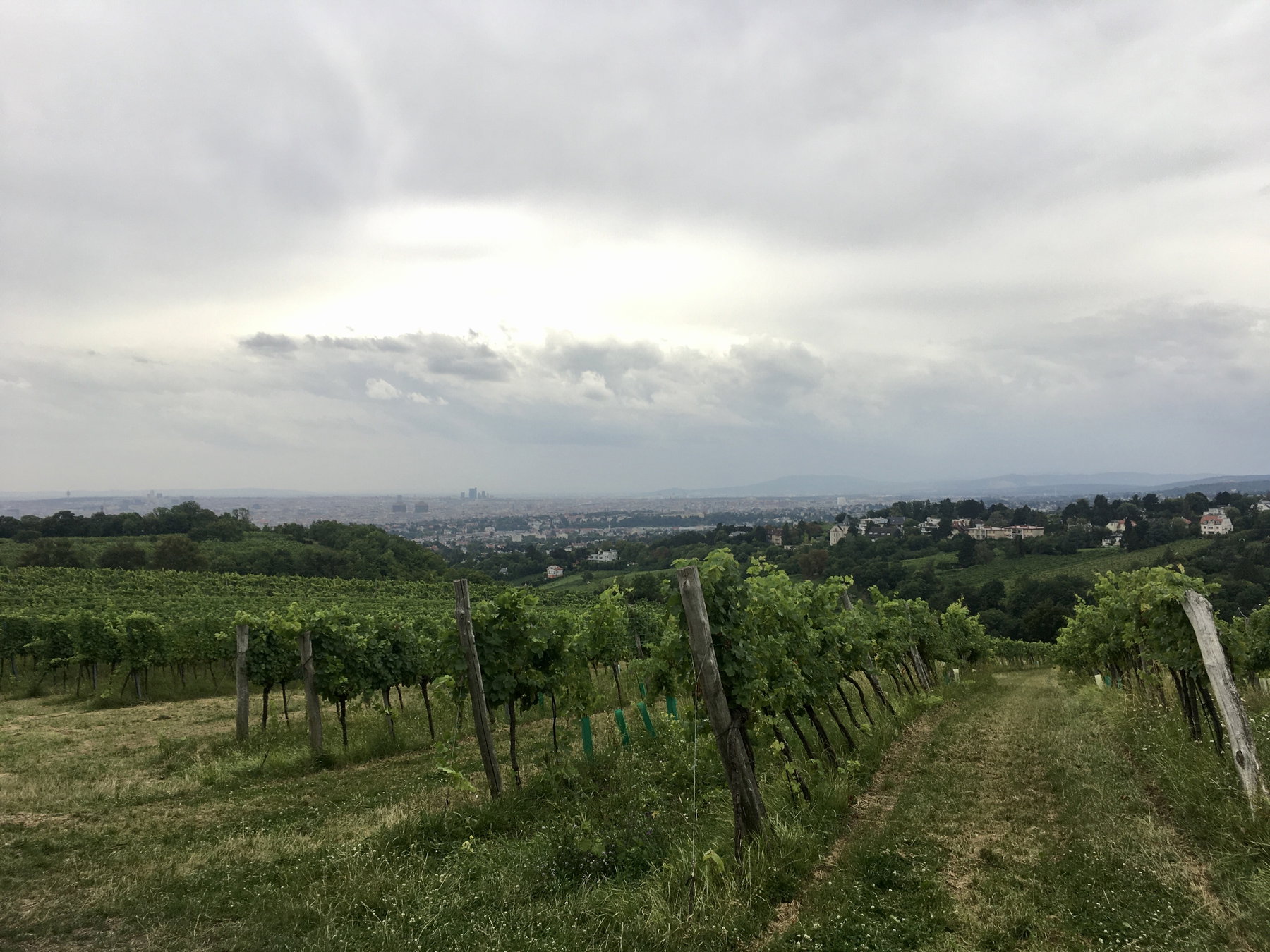 Grau über der Stadt. Foto Veronika Schöll