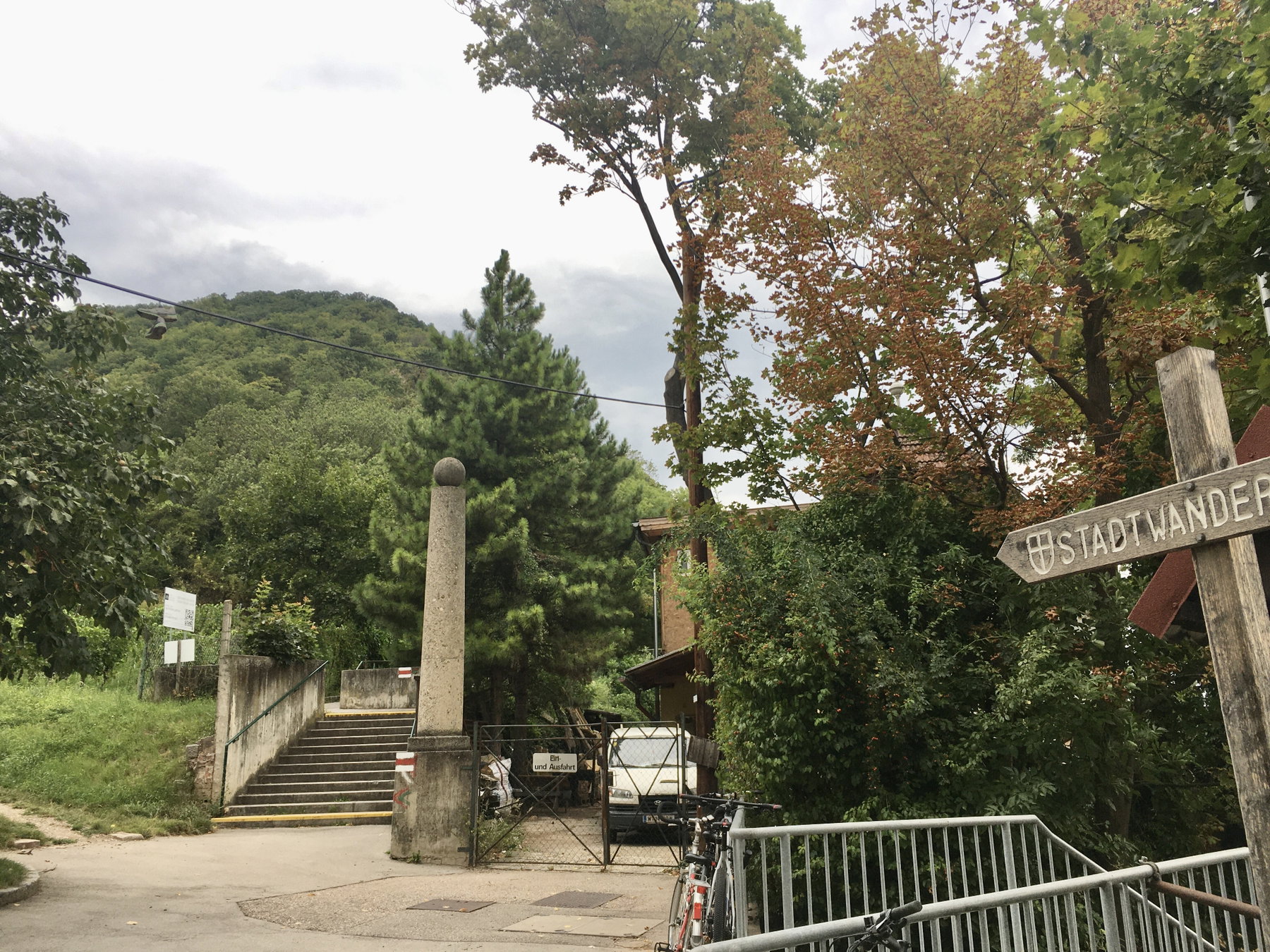 Aufstieg zum Leopoldsberg am Nasenweg. Foto Veronika Schöll